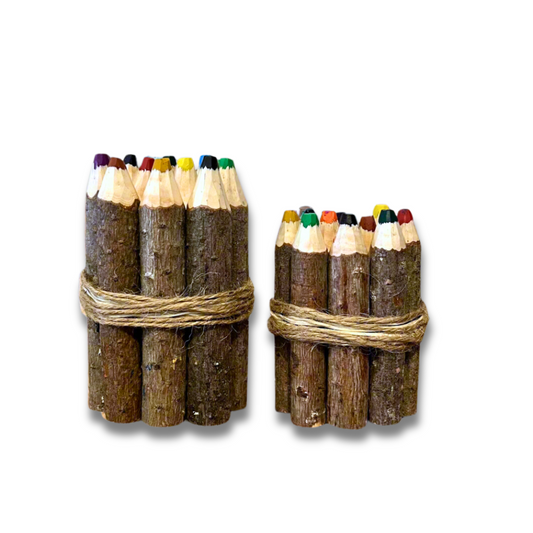 pine tree branch crayons