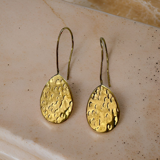 brass coin earrings
